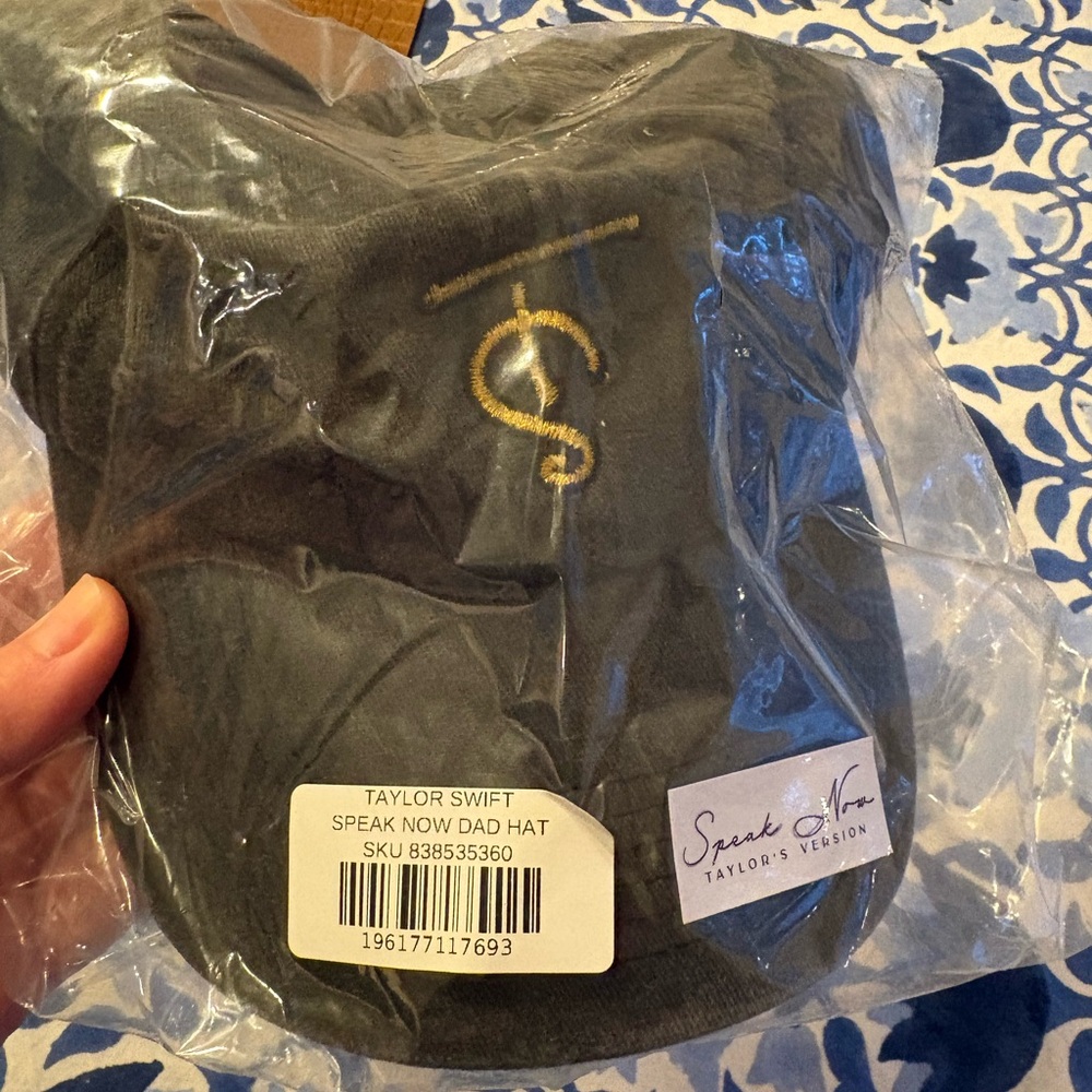 Taylor Swift Gray Hat with Gold Embroidery